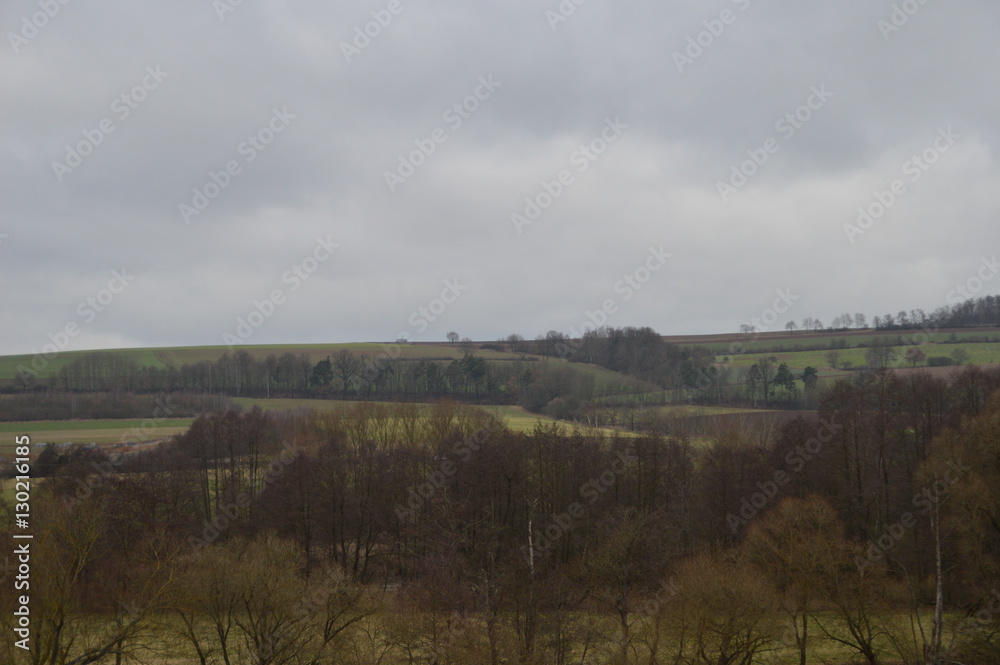 Fototapeta premium Weiden und Bäume im Herbst