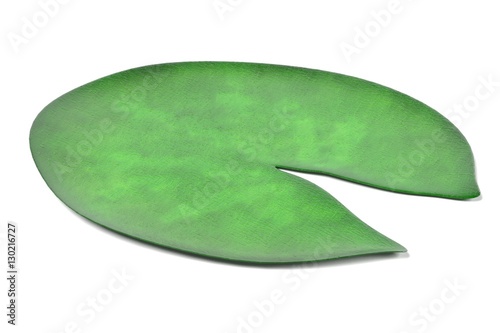Vászonkép realistic 3d render of water lily