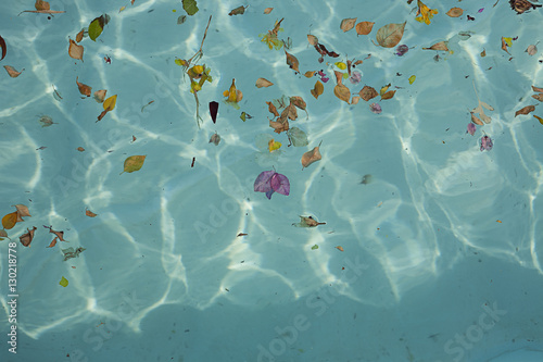 Blue transparent water with flowers