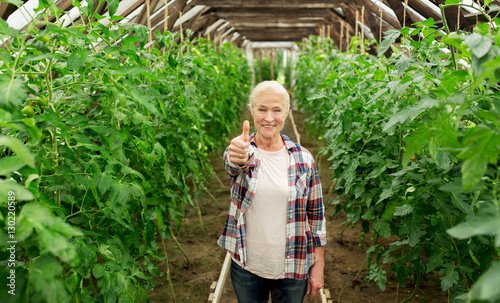 happy senior woman at farm greenhouse