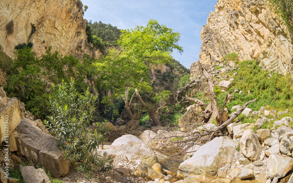 Fisheye view on Avakas Gorge with steep rocks and river on bottom. Akamas peninsula, Cyprus.
