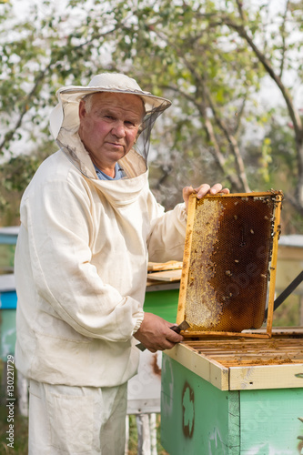 Beekeeper is working with bees and beehives on the apiary. © kosolovskyy