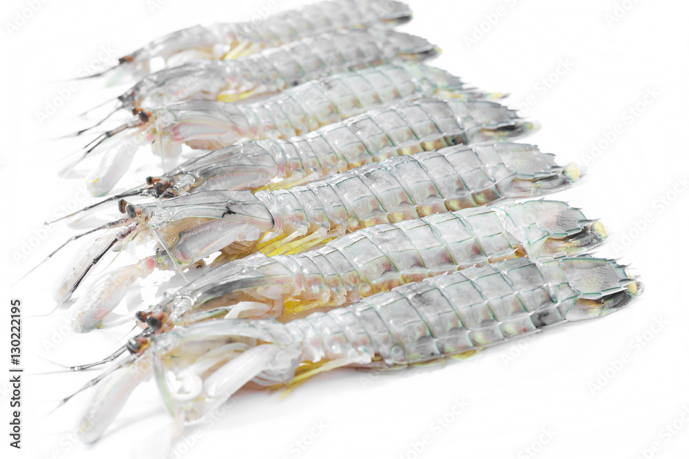Fresh mantis shrimp seafood on the white background. Fresh mantis shrimp seafood on the white background.