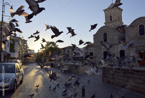 pigeons flying near Lazarus Church Larnaca Cyprus 