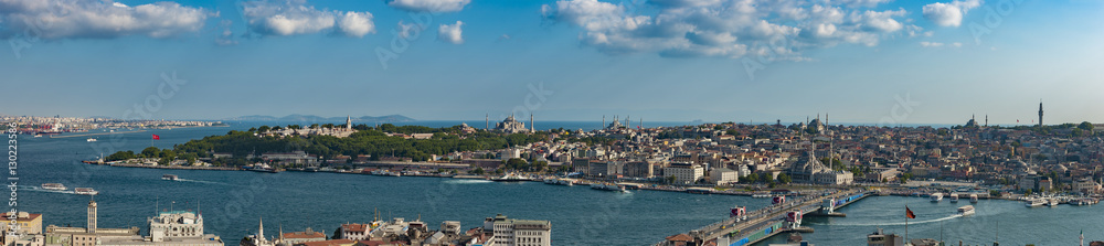 Istanbul Old Town Panorama with Topkapi Palace and The Mosques