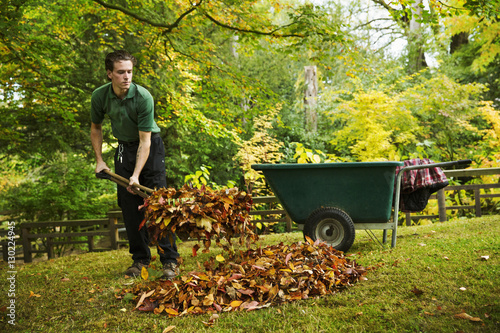 A gardener using a leaf blower to clear up autumn leaves in a garden. 