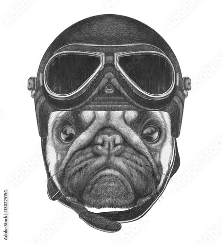 Murais de parede Portrait of Pug Dog with Vintage Helmet. Hand drawn illustration.