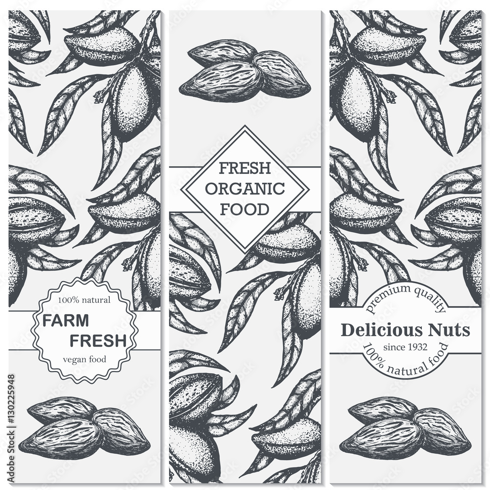 Vector set of templates with hand drawn branch of of almond. Vector set of templates with hand drawn branch of of almond.