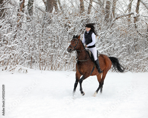 Woman riding in snow in cold winter day © horsemen
