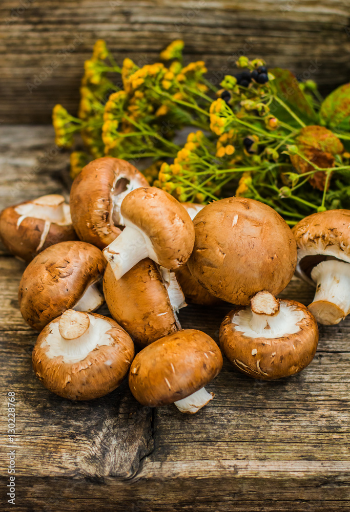 Royal champignons on a wooden background. Selective focus. Close-up Royal champignons on a wooden background. Selective focus. Close-up