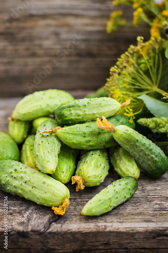 Fresh cucumbers on a wooden background
