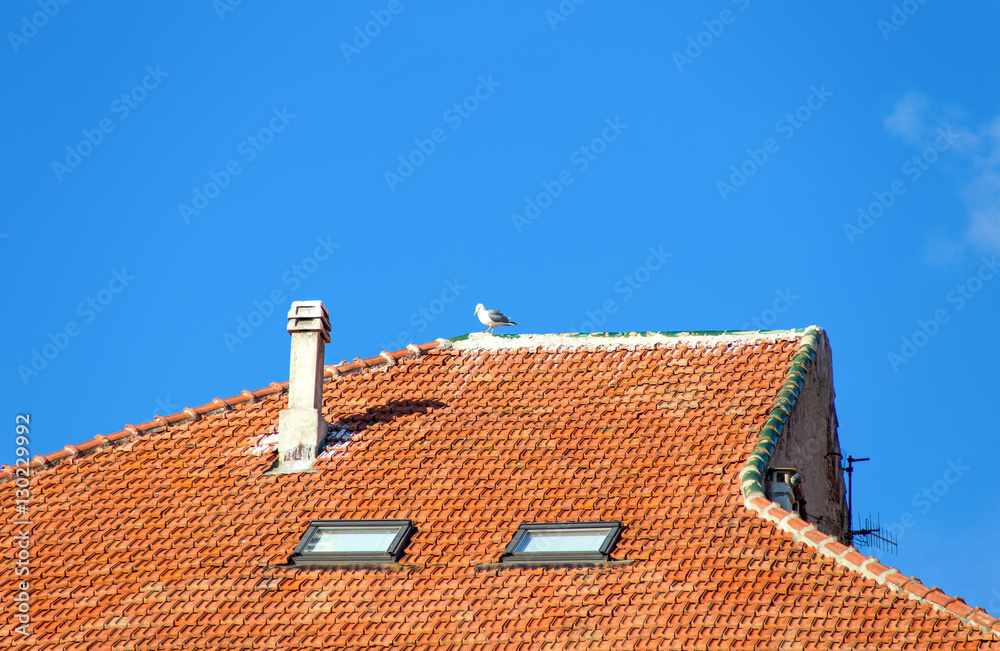 Fototapeta premium Seagull standing on a tiled roof of an house, Italy;