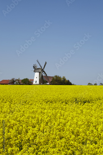 Windmühle Eickhorst (Hille)