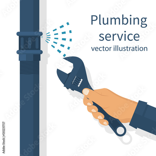 Plumbing service vector
