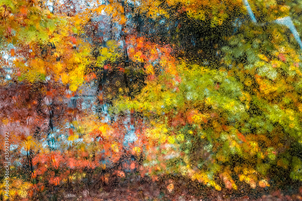 Red yellow and green colorful leaves of UK autumn.