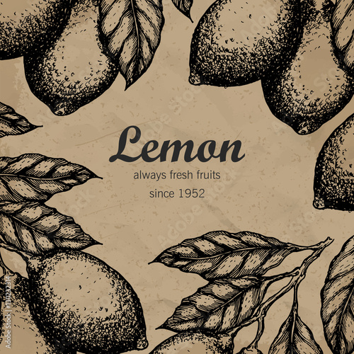 Lemon tree design template. Hand drawn lemon fruit branch with leaves sketch. Vector illustration.