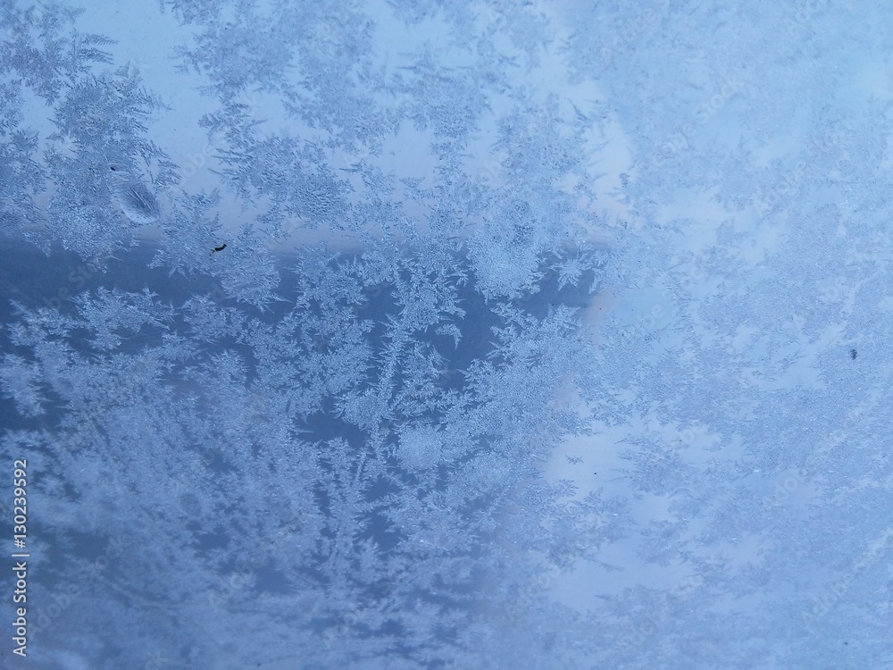 Fototapeta premium Ice's ornaments with frozen snowflakes