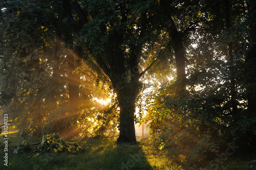 Beams of light © Grzegorz Lenkiewicz