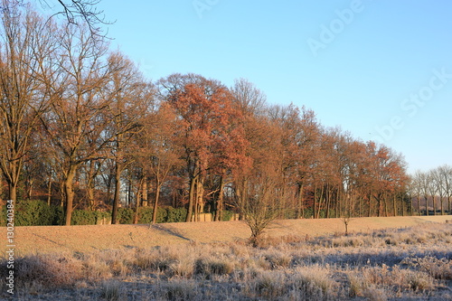 Winter idyll in The Netherlands