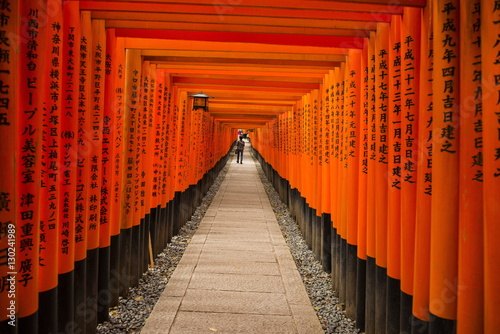 The Endless Red Gates of Kyoto's Fushimi Inari Shrine, Kyoto, Japan photo