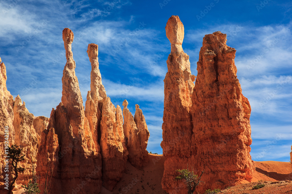 Fototapeta premium Stone Hoodoos in Bryce Canyon National Park.