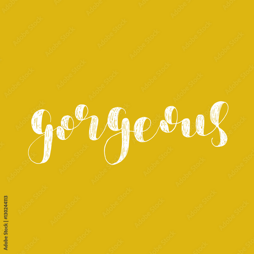 Fototapeta premium Gorgeous. Brush lettering vector illustration.