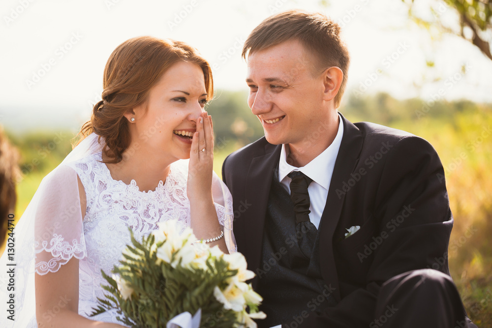 portrait of a couple bride and groom on the background field portrait of a couple bride and groom on the background field