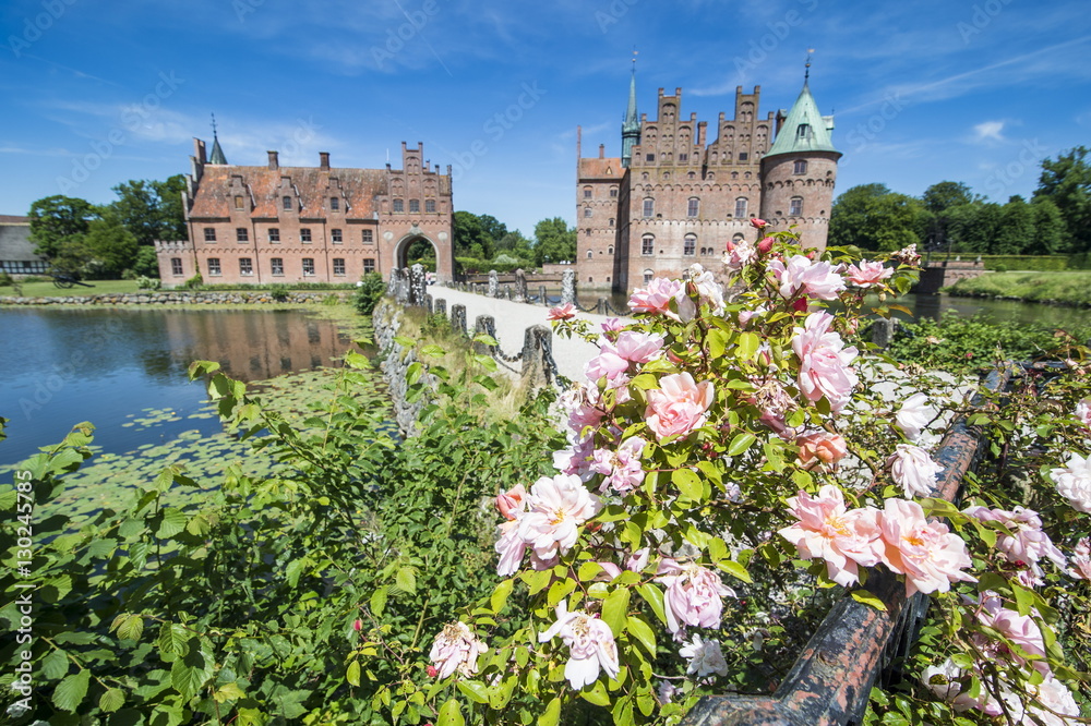 Roses blooming in front of Castle Egeskov, Denmark