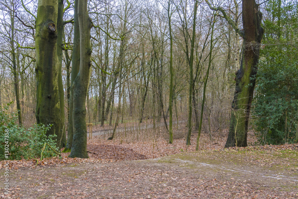 Obraz premium Herbst in Pellens-Park