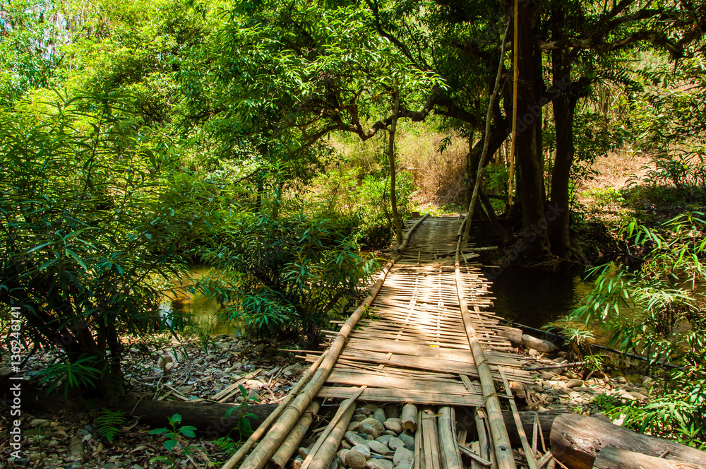 Wood bridge in forest , Kanchanaburi, Thailand Wood bridge in forest , Kanchanaburi, Thailand
