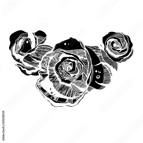 flower, rose, spring, summer, background, botanical, garden