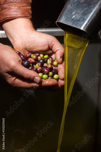Hands with olives and oil pouring
