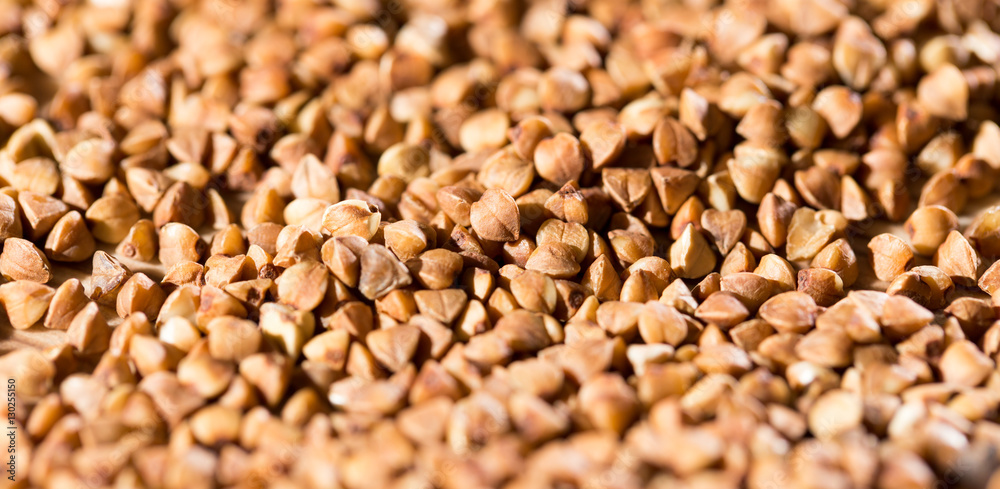 Fototapeta premium buckwheat as background