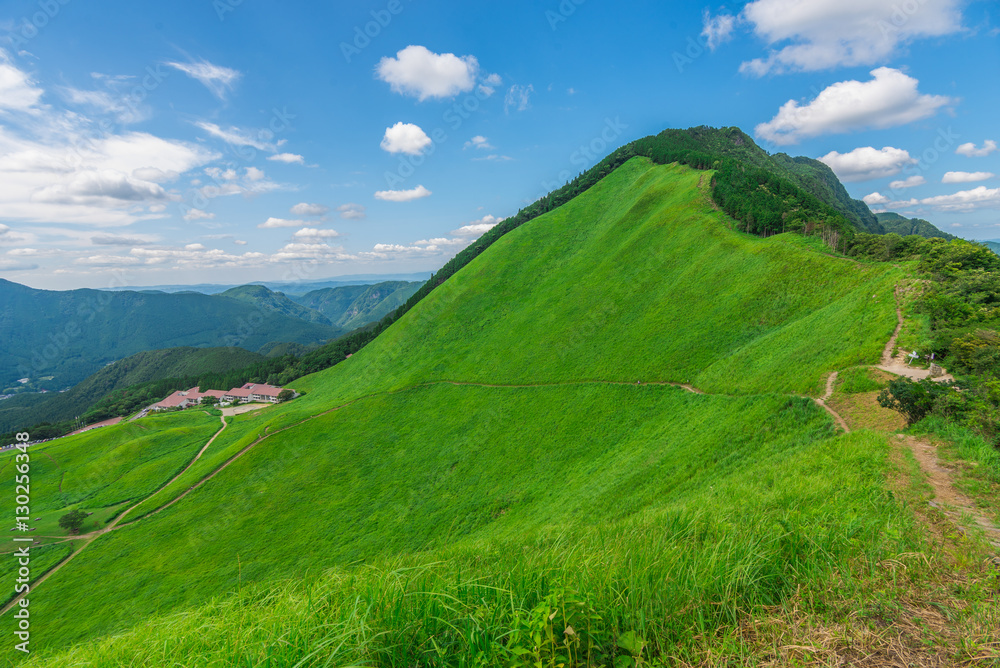 Greengrass at Soni plateau,Nara Prefecture ,Japan Greengrass at Soni plateau,Nara Prefecture ,Japan