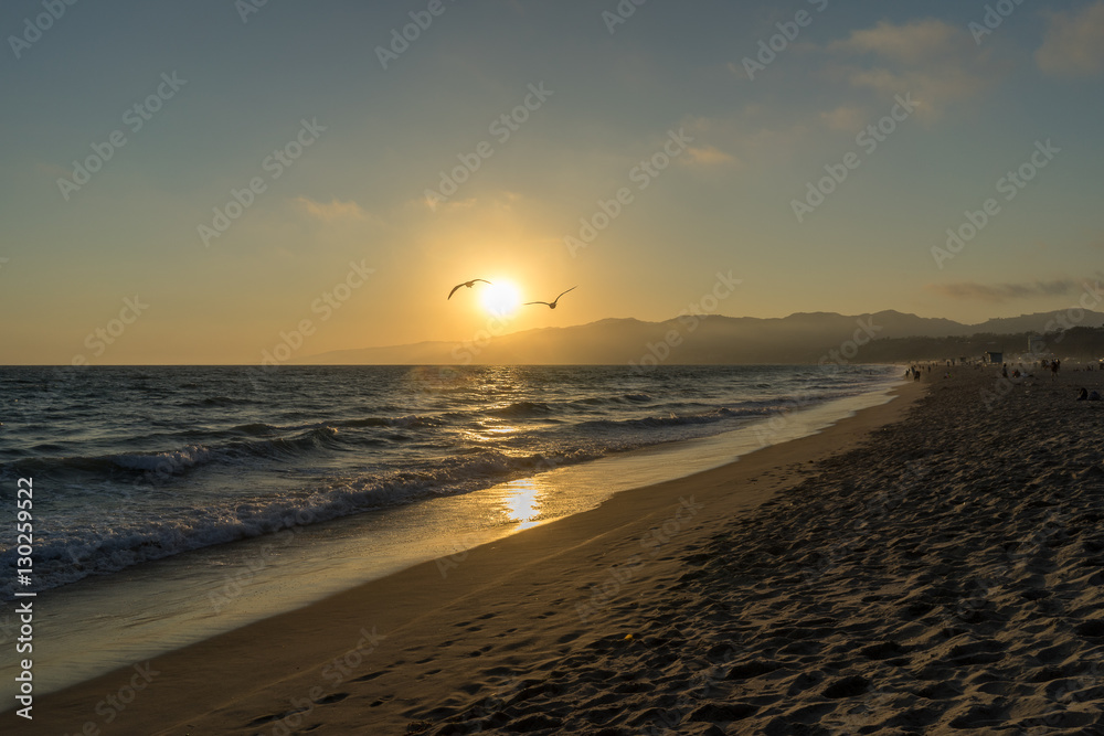 Santa Monica Beach Sea Gulls at Sunset