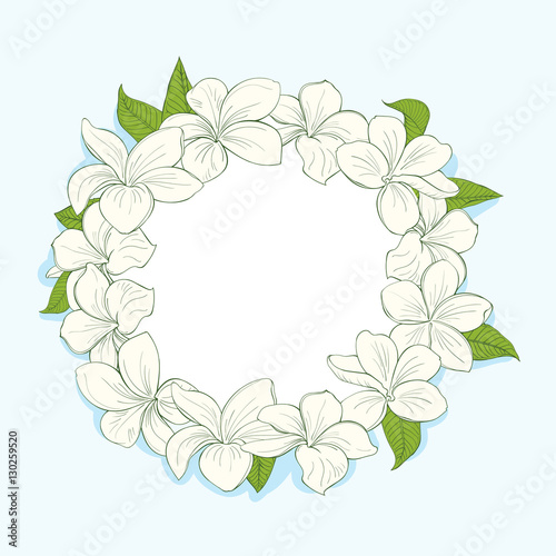 Circle frame with plumeria flowers