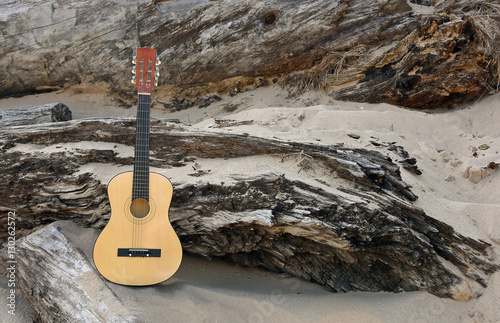 six string guitar in beach sand on weathered tree