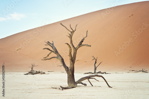 Sossusvlei  Namibia