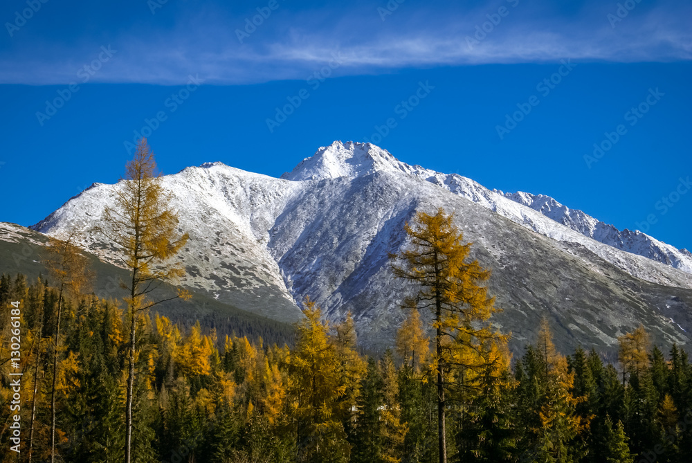 Fototapeta premium Nature in Strbske pleso