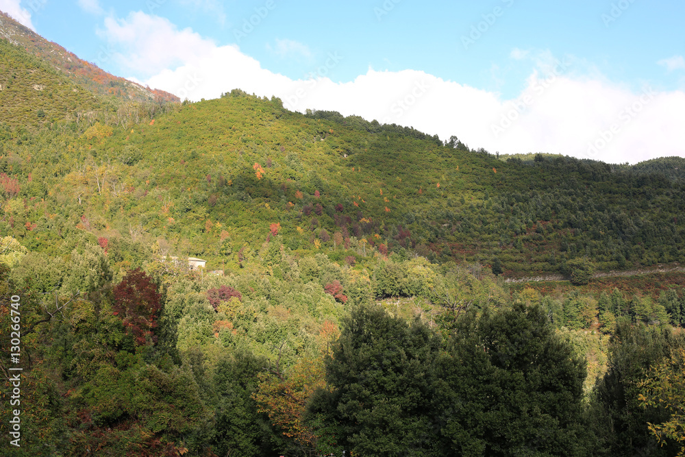 Autumn landscape on Corsica Island, France