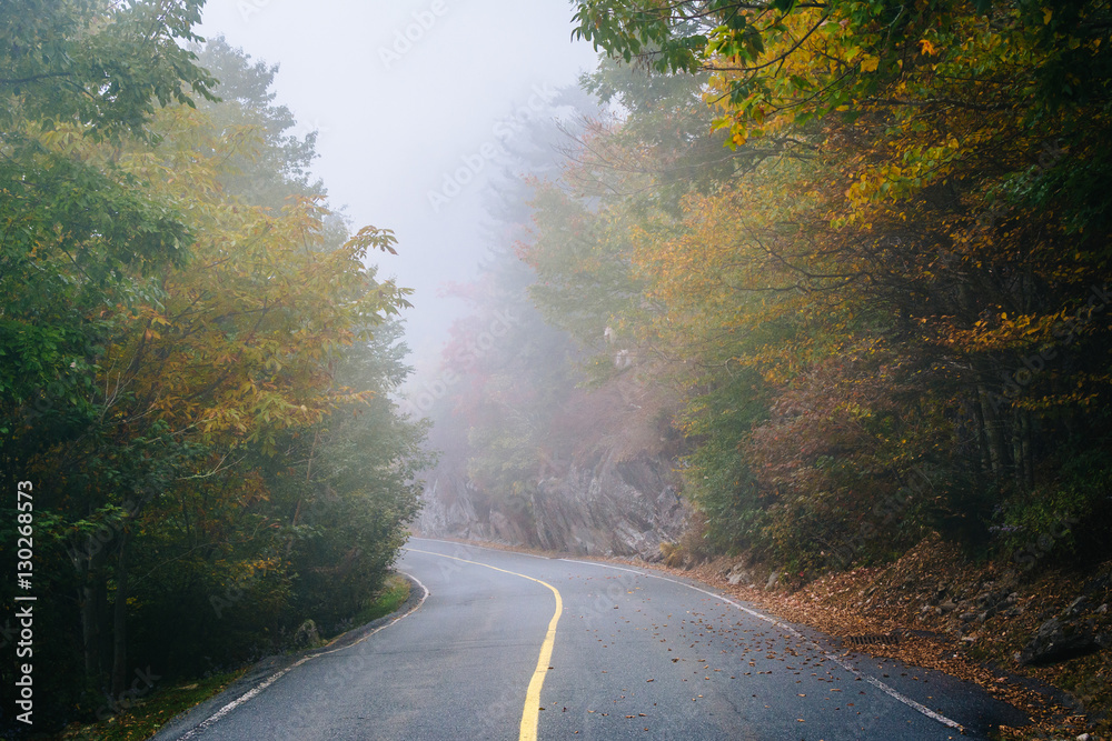 Obraz premium Early autumn color and fog on the road to Grandfather Mountain,