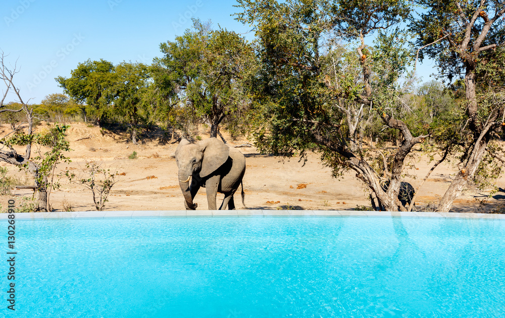 Naklejka premium Pool with the view