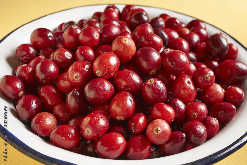 fresh, ripe cranberries fresh, ripe cranberries