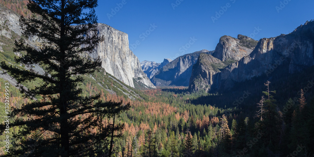 Yosemite Valley with El Capitan and Half Dome