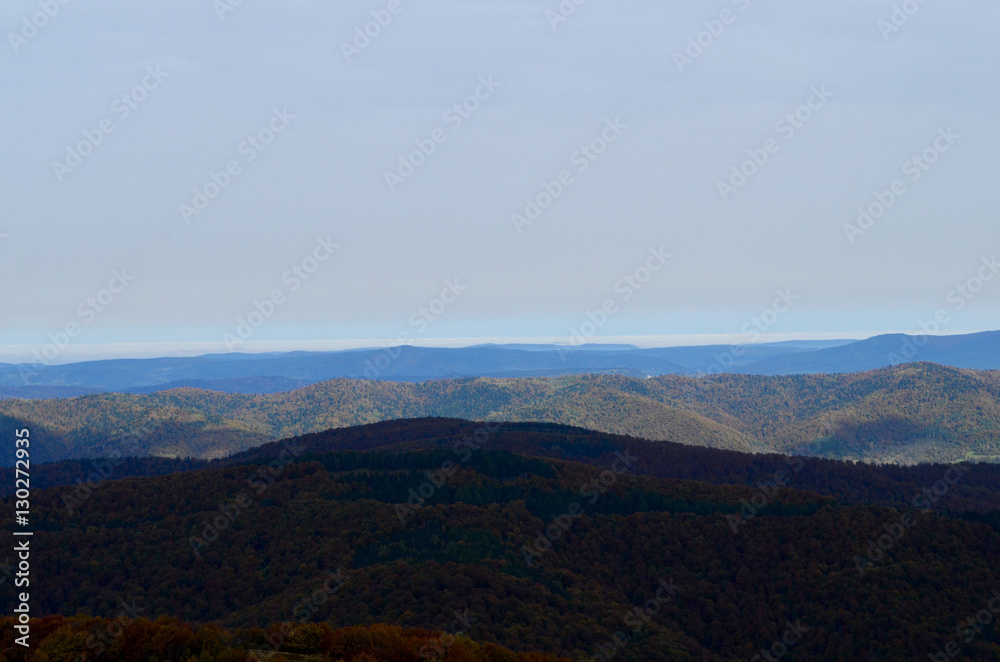 panorama panorama