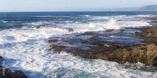 rocky shoreline in the coast of California