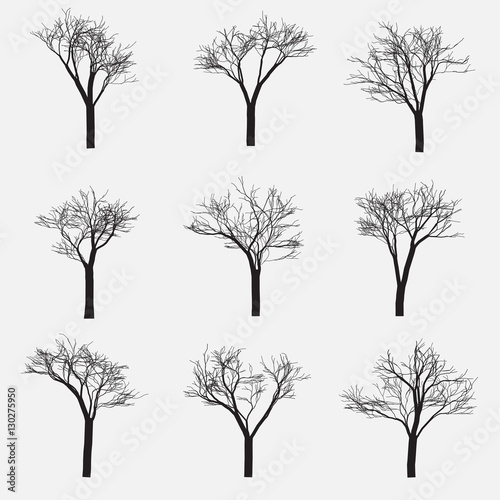 Set of Silhouette of tree with bare branches, vector illustration