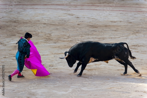 Bullfight featuring matadors, San Fermin festival, Pamplona, Navarre, Spain photo