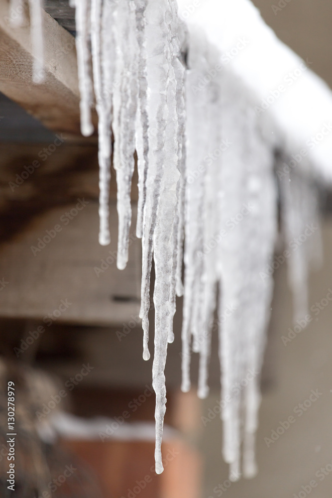 icicles on winter nature
