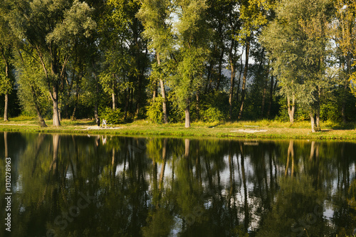 Trees reflections in water of lake. Slovakia